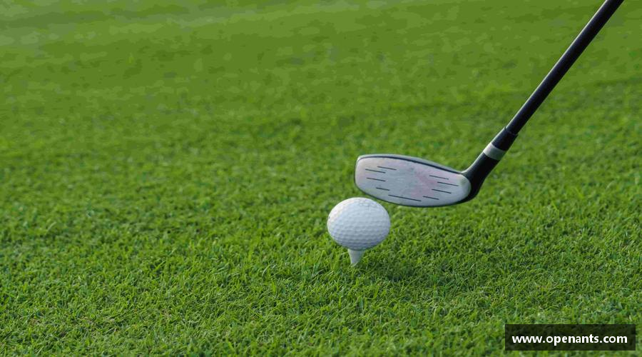 完美体育365WM SPORTS精彩瞬间，尽在体育